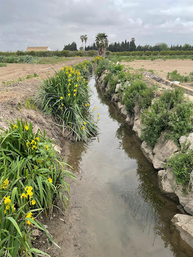 3it Ingeniería y Gestión