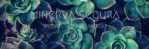 Minerva Segura Arquitectura