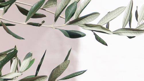 LiLo Estudio · Arquitectura, Interiorismo y Diseño Floral