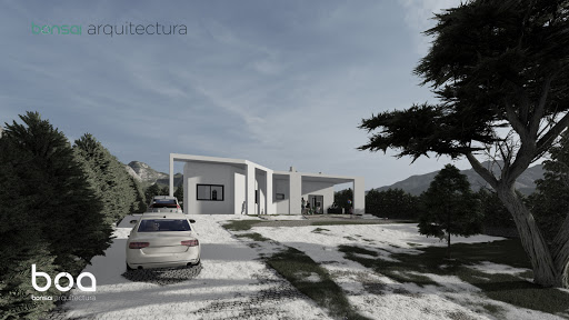 Bonsai Arquitectura