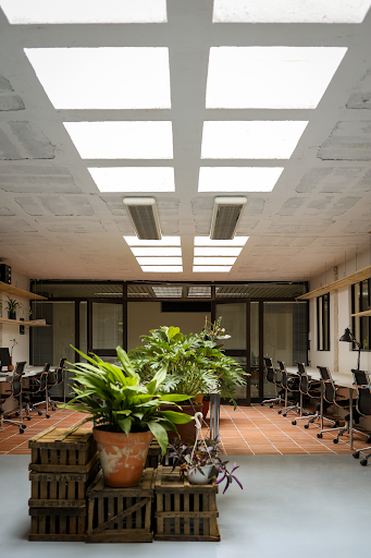 quim olea estudi d'arquitectura